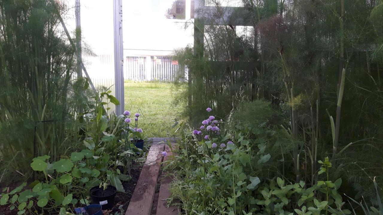 Hostel Щралзунд Екстериор снимка